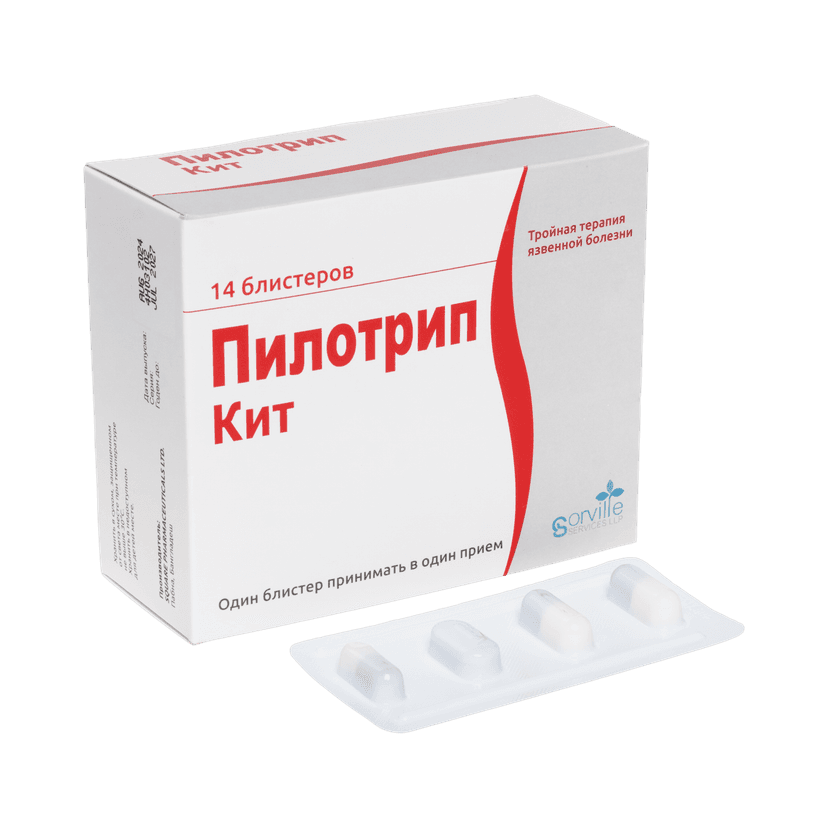 Pilotrip Kit 2